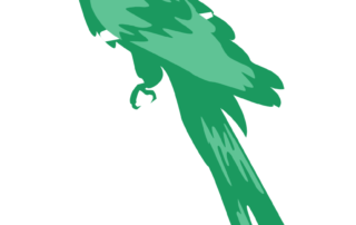 Parrot Paraphraser